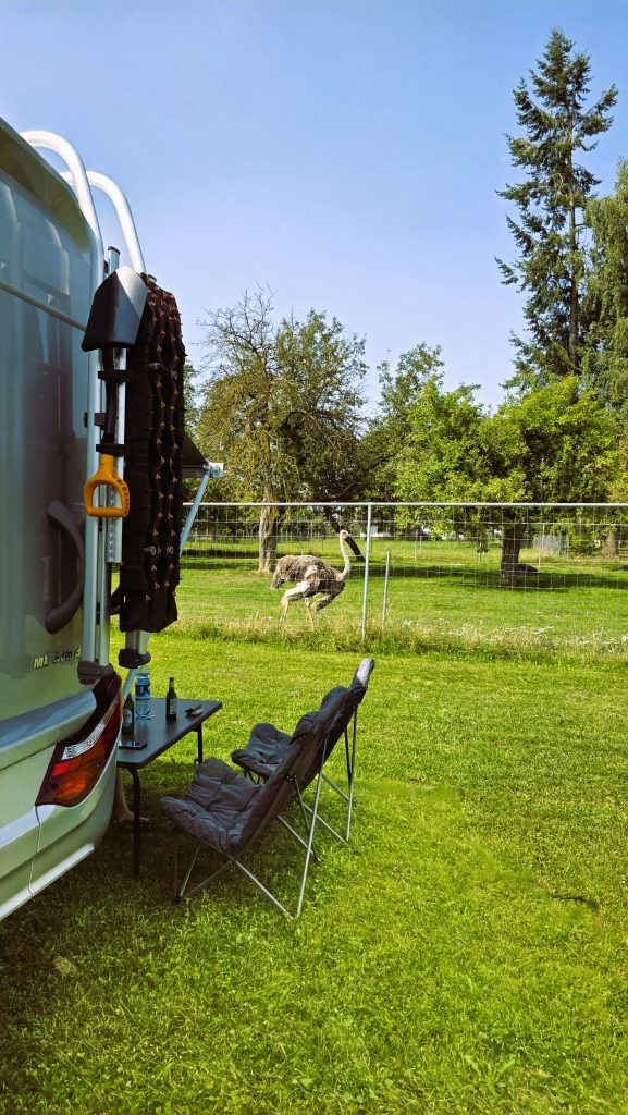 Kooperationen 20250816 121740 577x1024