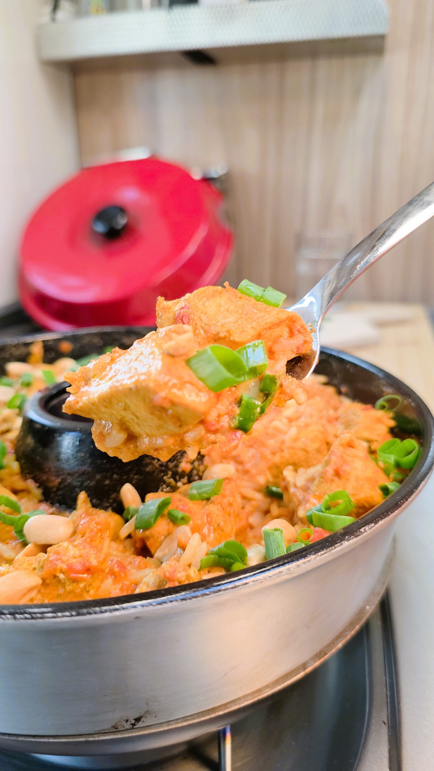 Butter Chicken mit Reis 2 butter chicken