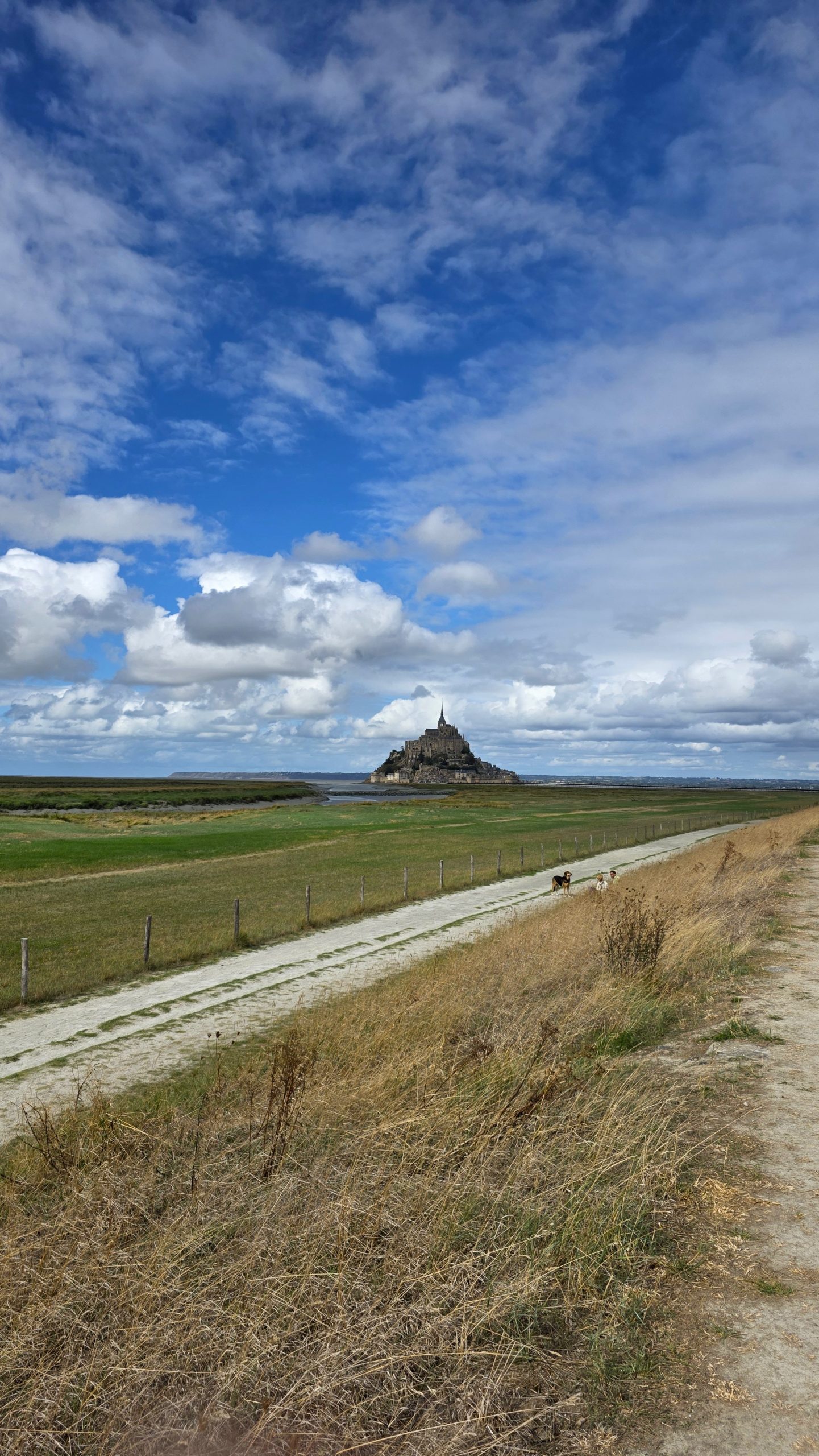 Weg zum Mont-Saint-Michel bei Ebbe
