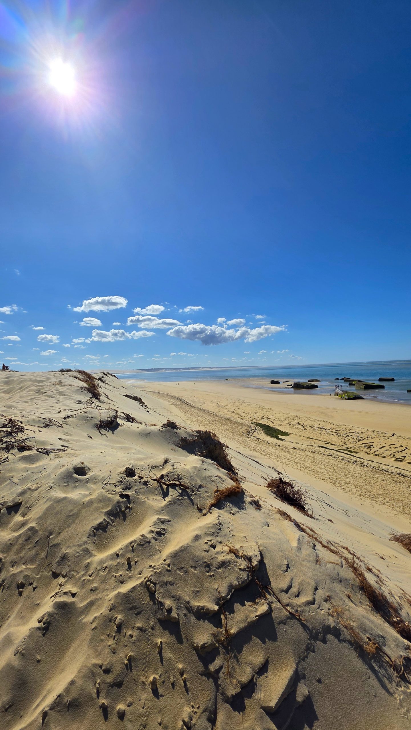 Dünen und Pinien bei Cap Ferret