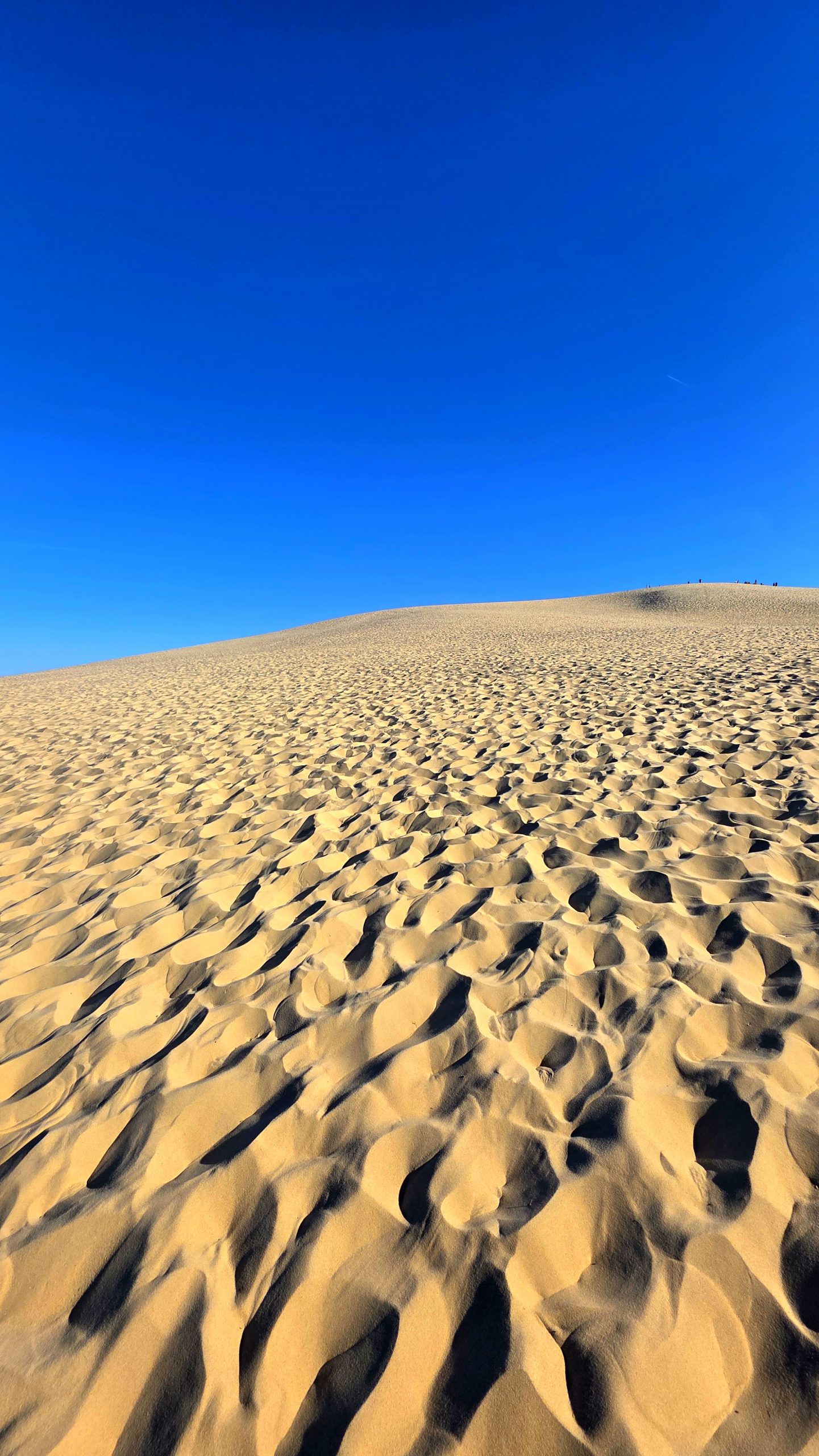 Aufstieg auf die Dune du Pilat