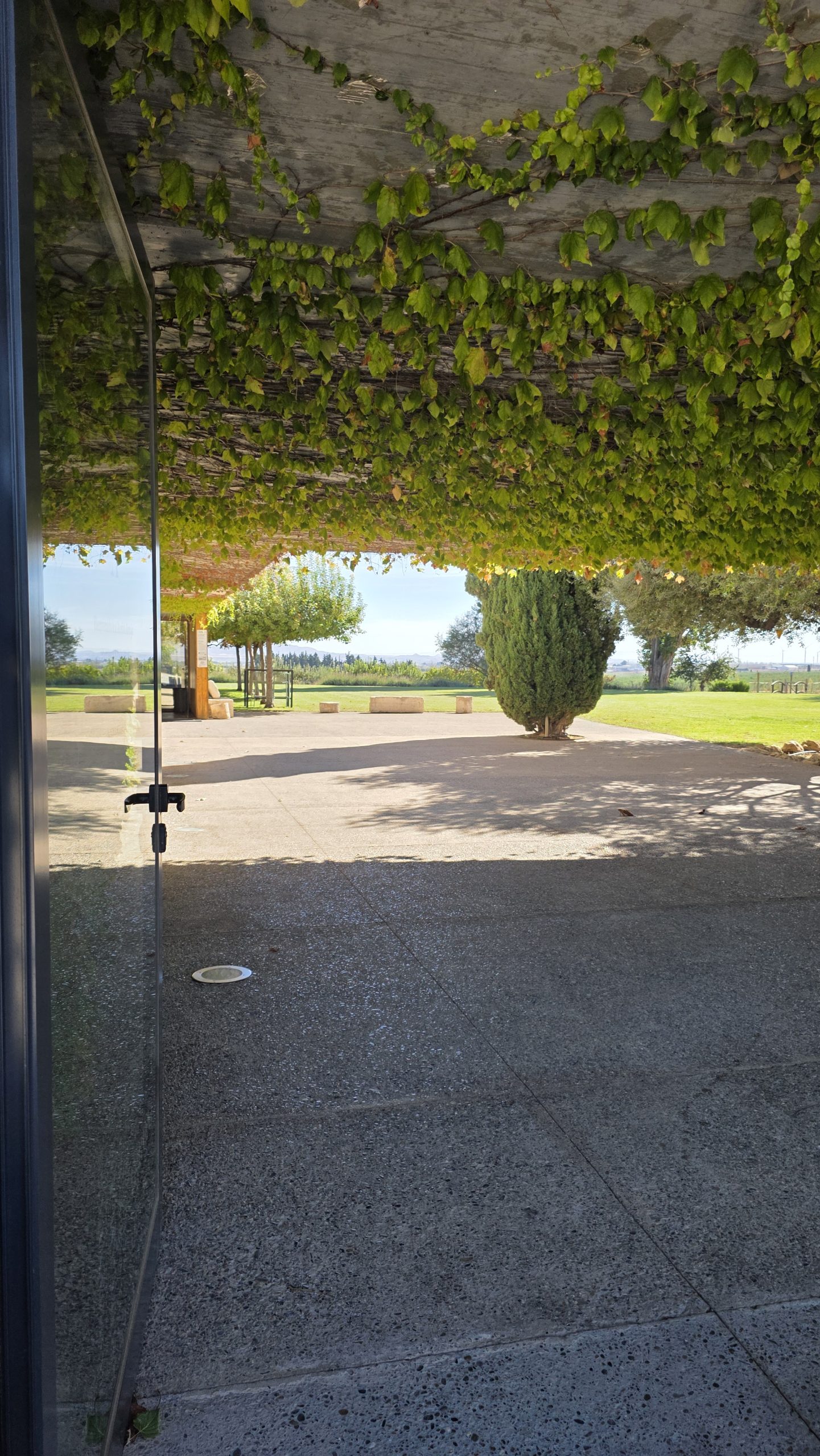 Shop mit Olivenöl bei Artajo