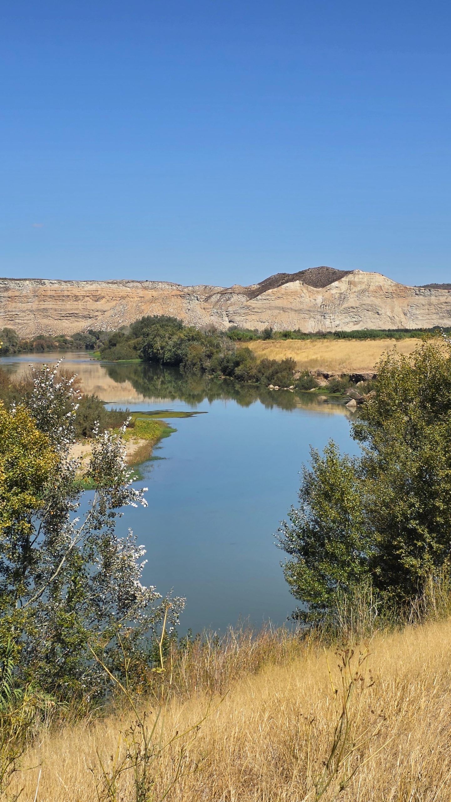 Der Ebro in der Gegend von Alagón