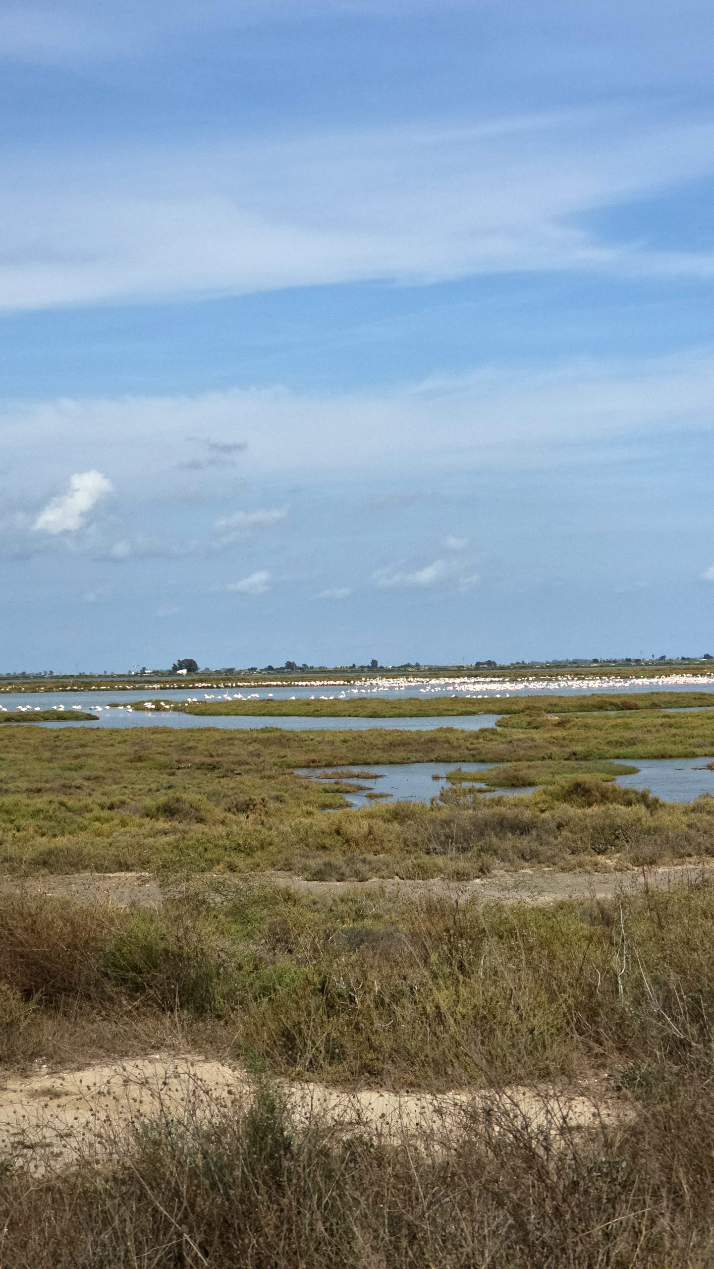 Unser Spaziergang durch die Landschaft des Ebro-Deltas