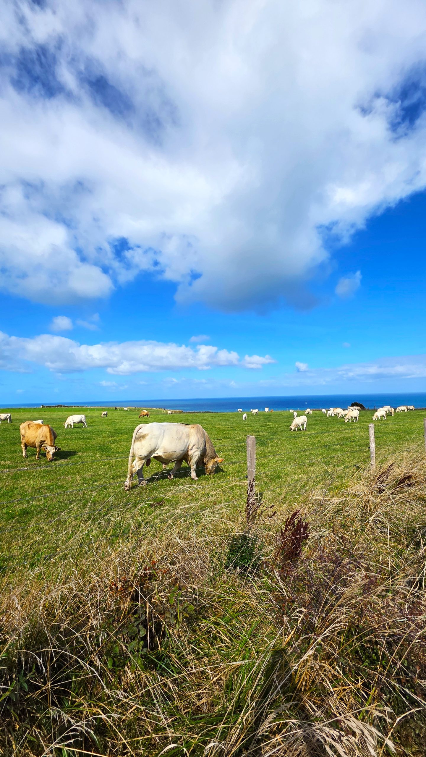 Bénouville Normandie