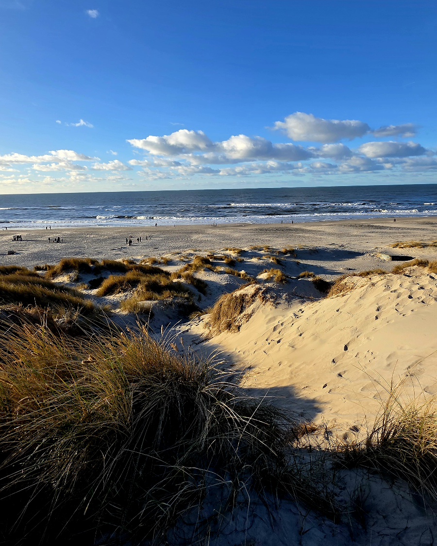 Blick über die hohen Dünen am Nymindegab Strand auf die winterliche Nordsee.