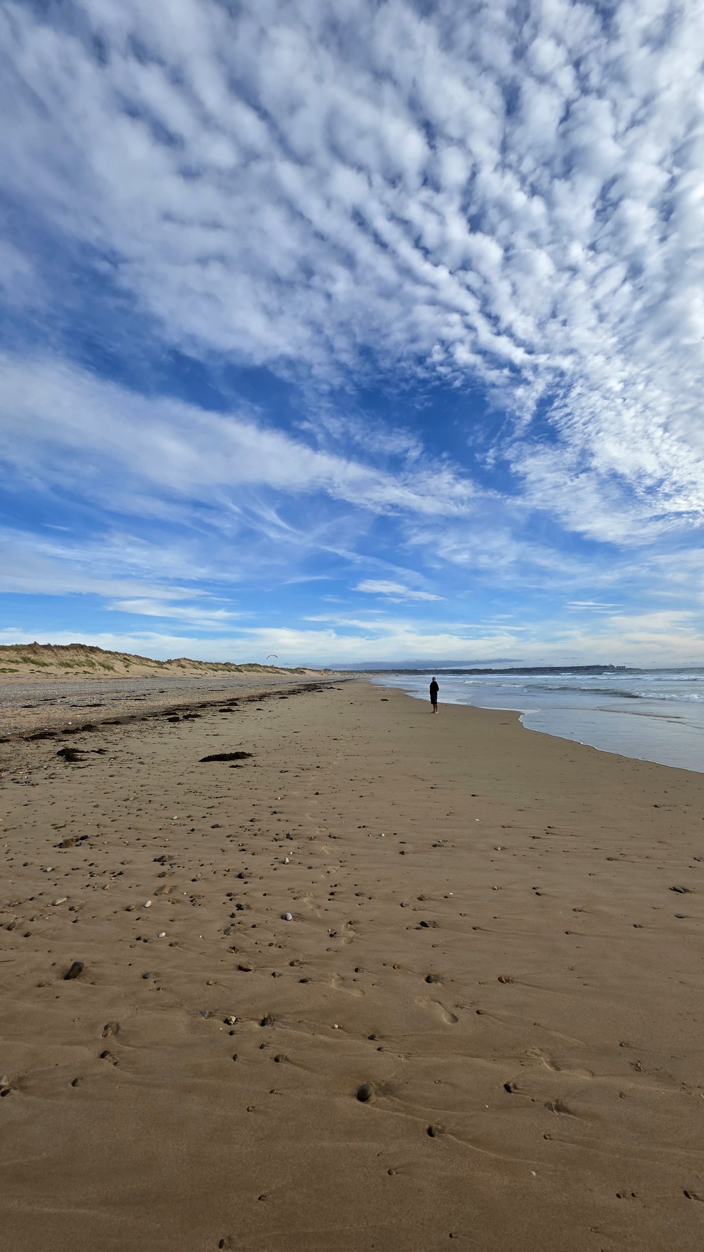 Strand und Dünen bei Biville