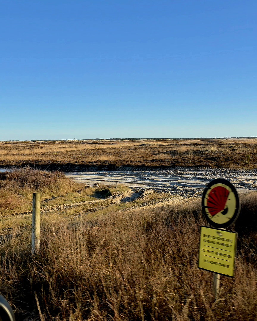 Wohnmobil auf der Militär-Panoramastraße bei Blåvand durch die Heidelandschaft im Januar 2026
