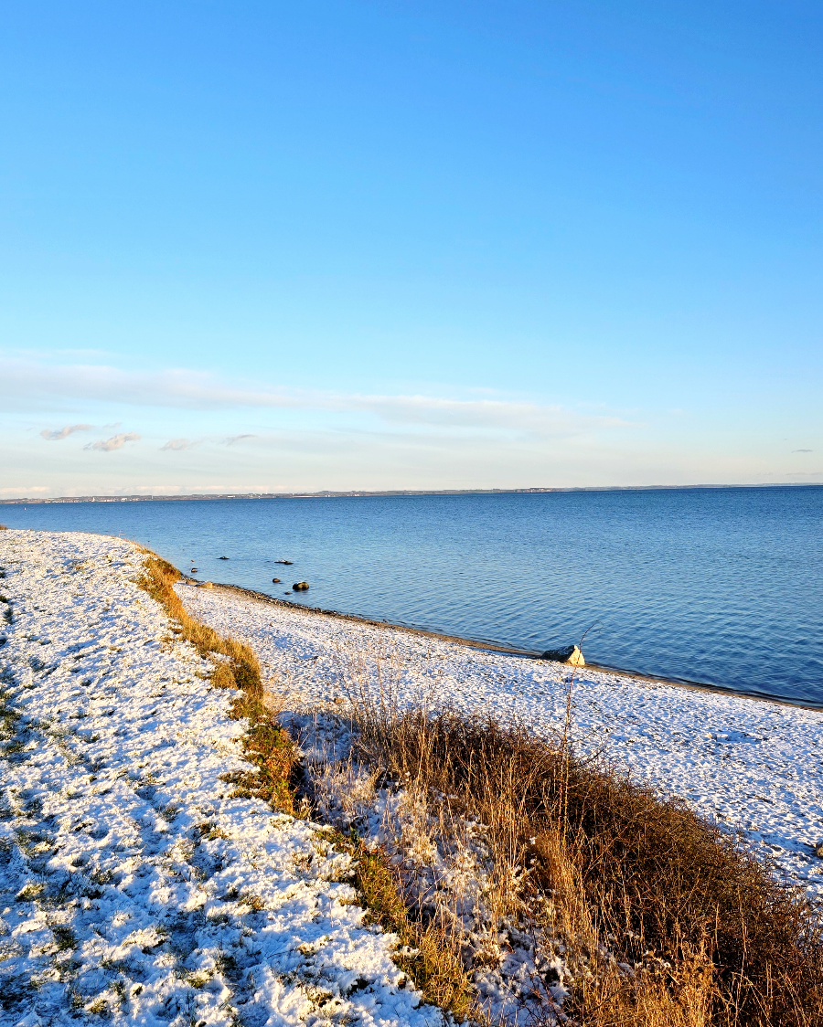 Angrillen 2026: Ein Grill steht vor dem Wohnmobil in Haderslev bei gleichzeitigem Sonnenuntergang und Mondaufgang.