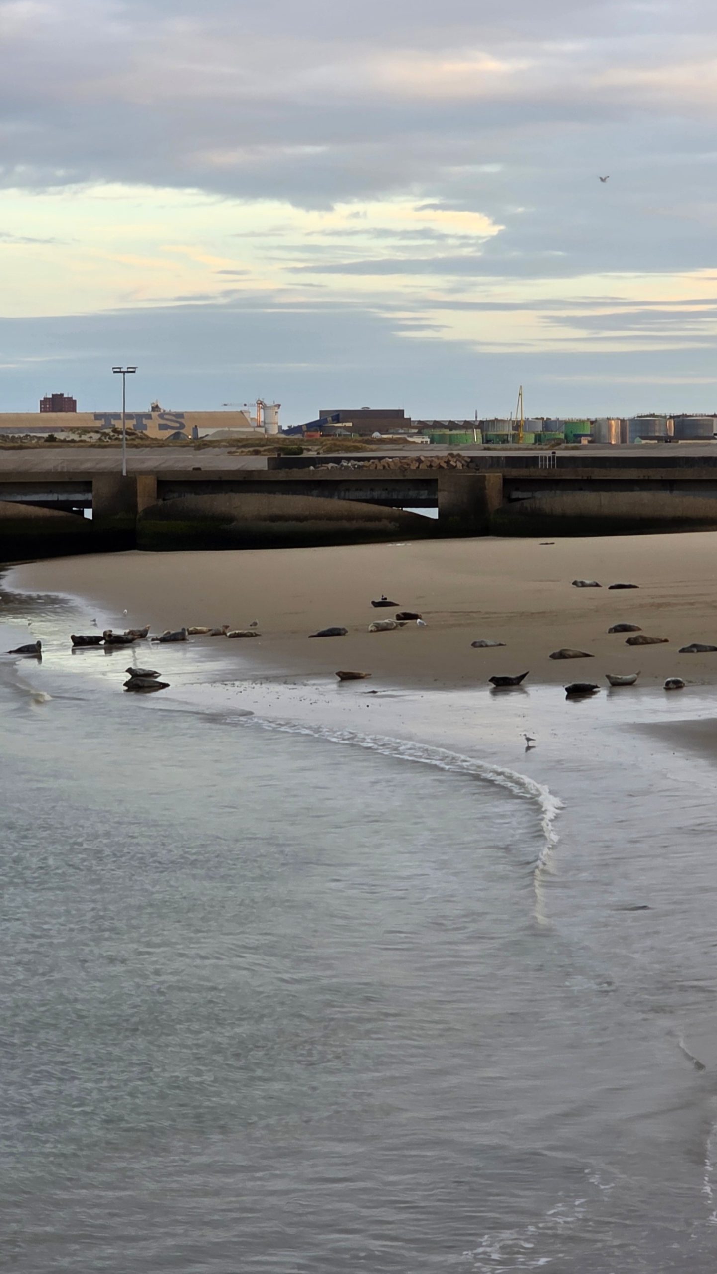 Industrie und Küste bei Dunkerque