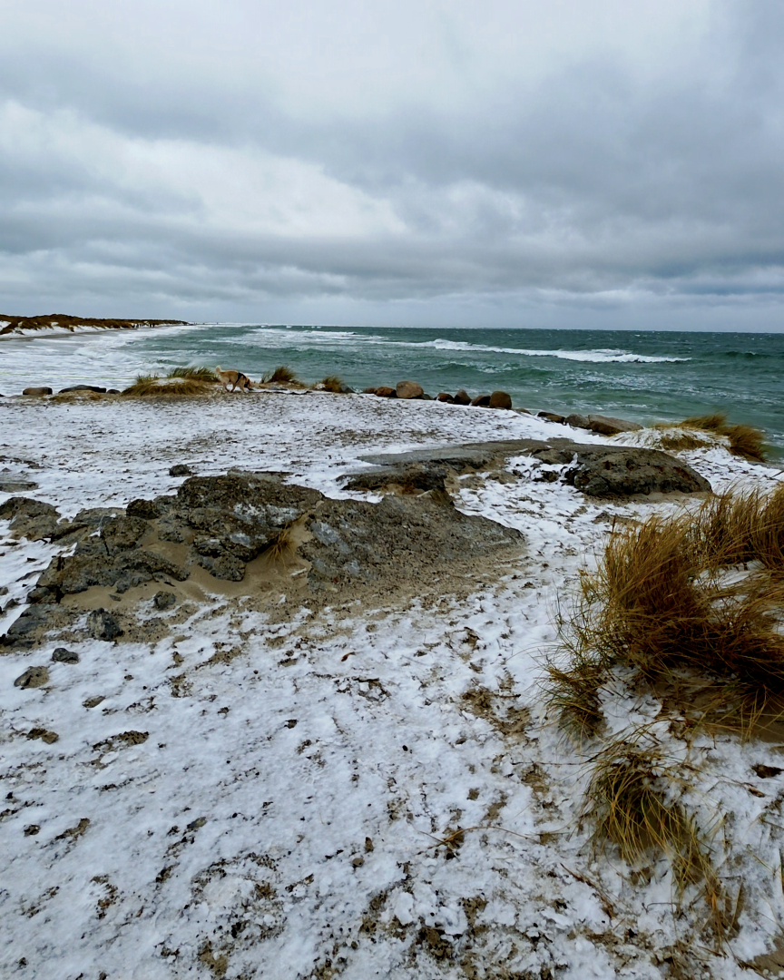 Zusammenfluss von Nordsee und Ostsee am Kap Grenen bei Skagen im Januar 2026.